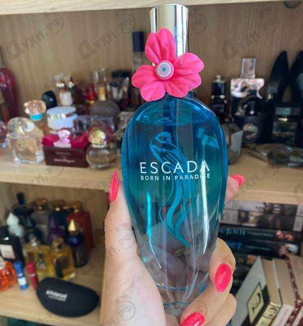 Купить Born In Paradise от Escada