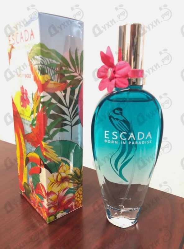 Купить Escada Born In Paradise