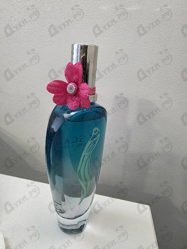Купить Escada Born In Paradise