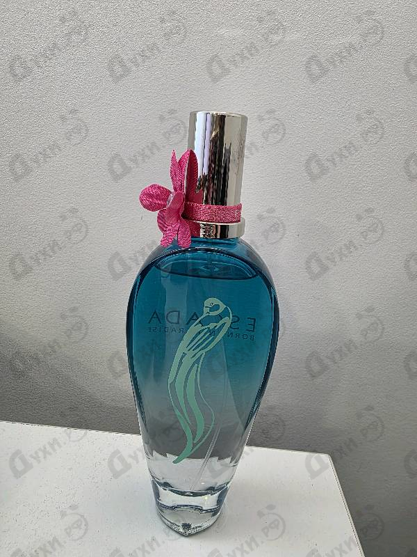 Духи Born In Paradise от Escada