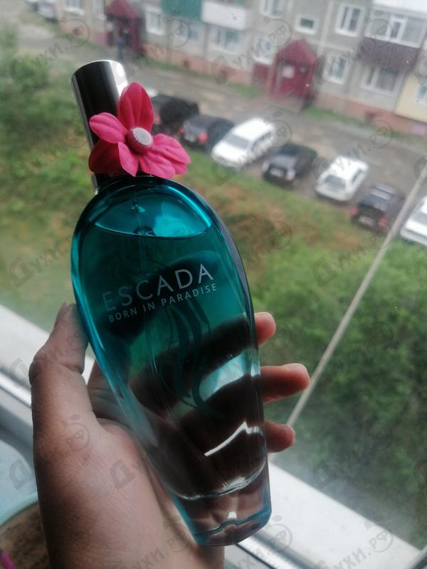 Парфюмерия Born In Paradise от Escada Отзыв Escada Born In Paradise
