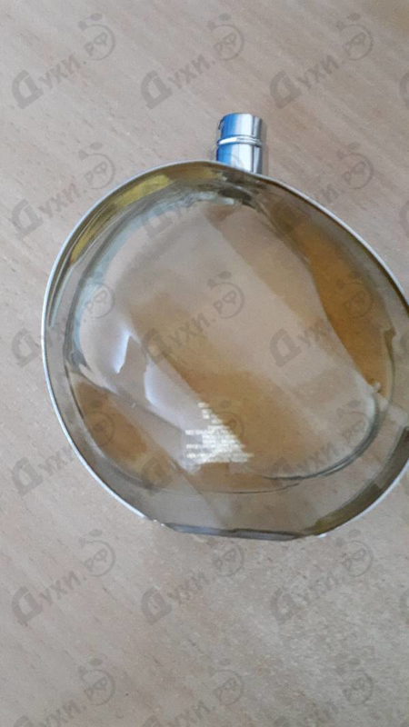 Купить Untold от Elizabeth Arden