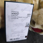 Отзыв Givenchy L'interdit