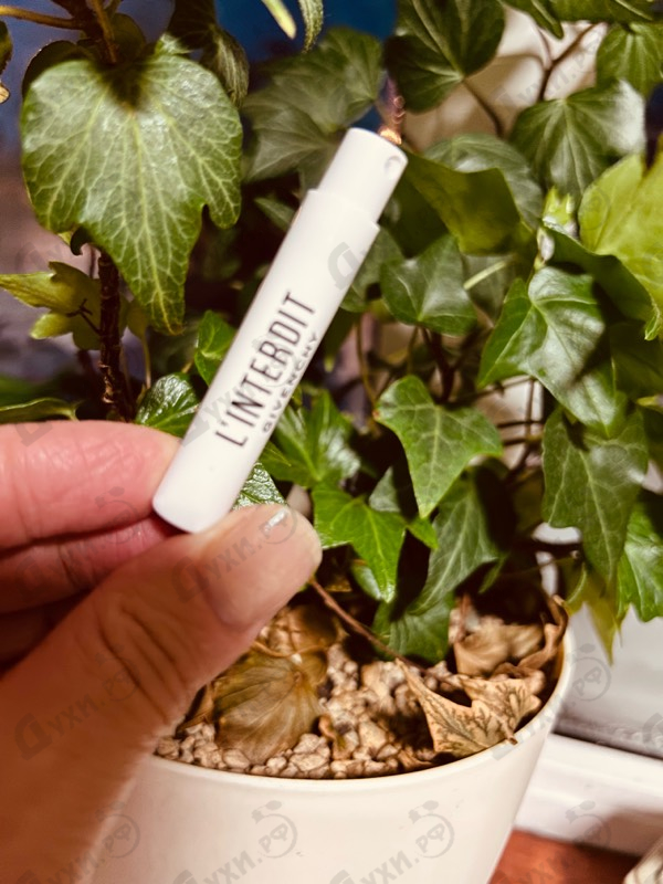 Купить L'interdit от Givenchy