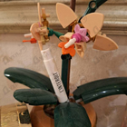 Отзыв Givenchy L'interdit