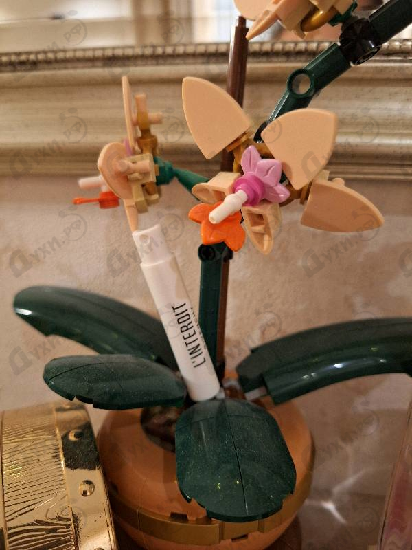 Отзыв Givenchy L'interdit