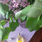 Отзывы Guerlain Chamade