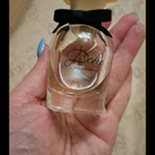 Отзывы Dolce & Gabbana Dolce (2014)