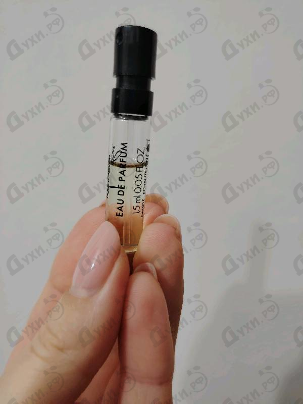 Духи Dolce (2014) от Dolce & Gabbana