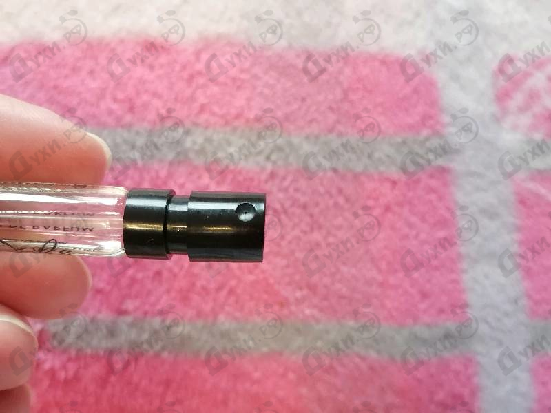 Духи Dolce (2014) от Dolce & Gabbana