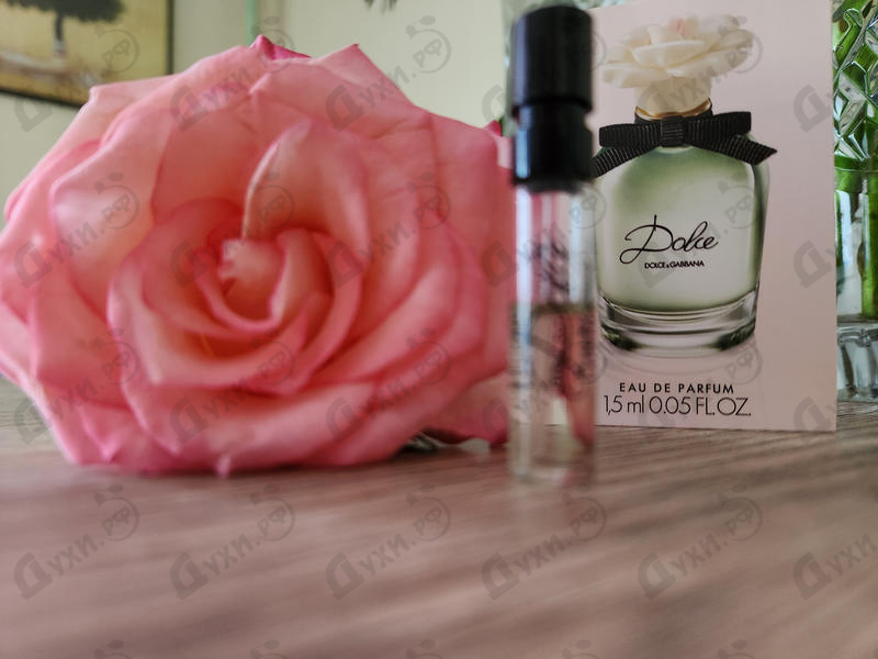 Купить Dolce & Gabbana Dolce (2014)