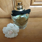 Отзывы Dolce & Gabbana Dolce (2014)