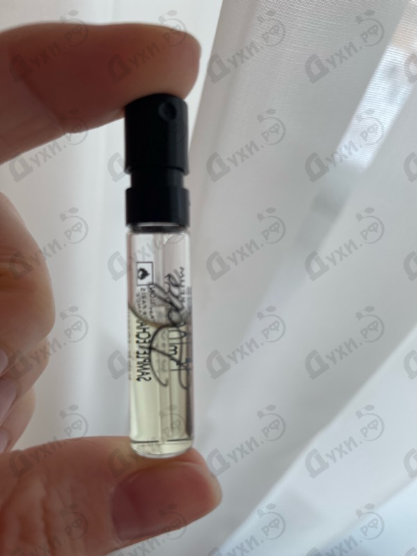 Купить Dolce (2014) от Dolce & Gabbana