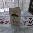 Отзывы Dolce & Gabbana Dolce (2014)