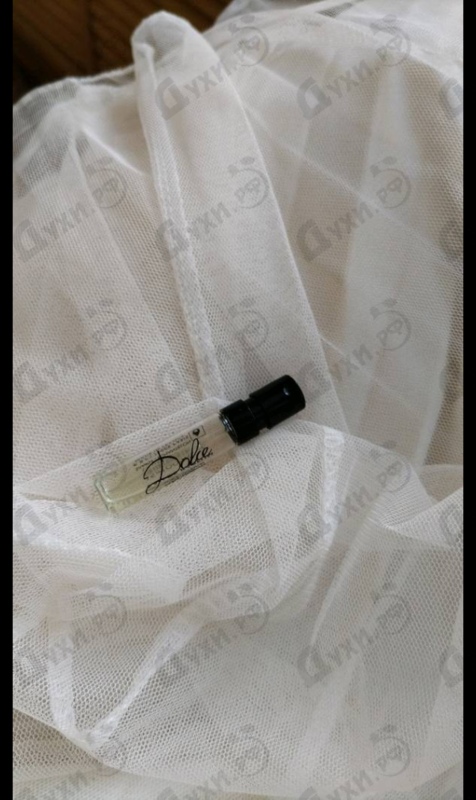 Купить Dolce & Gabbana Dolce (2014)