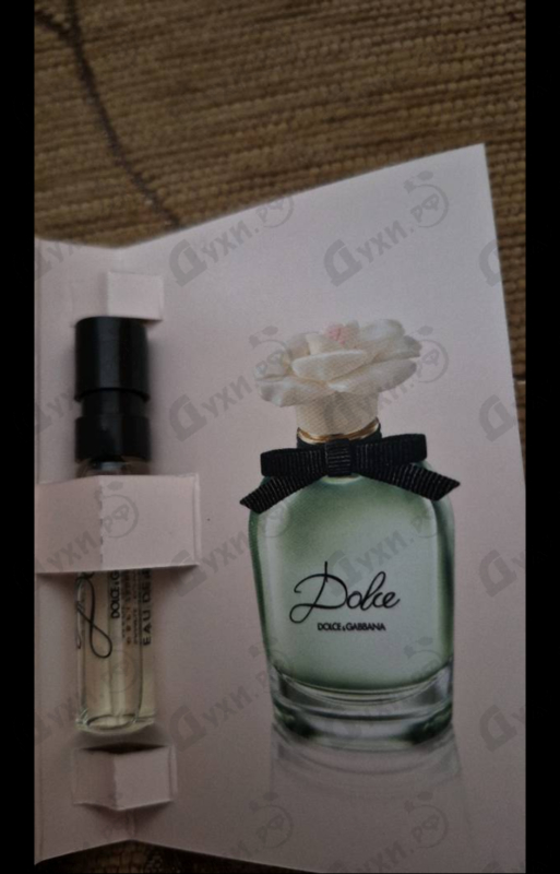 Купить Dolce (2014) от Dolce & Gabbana