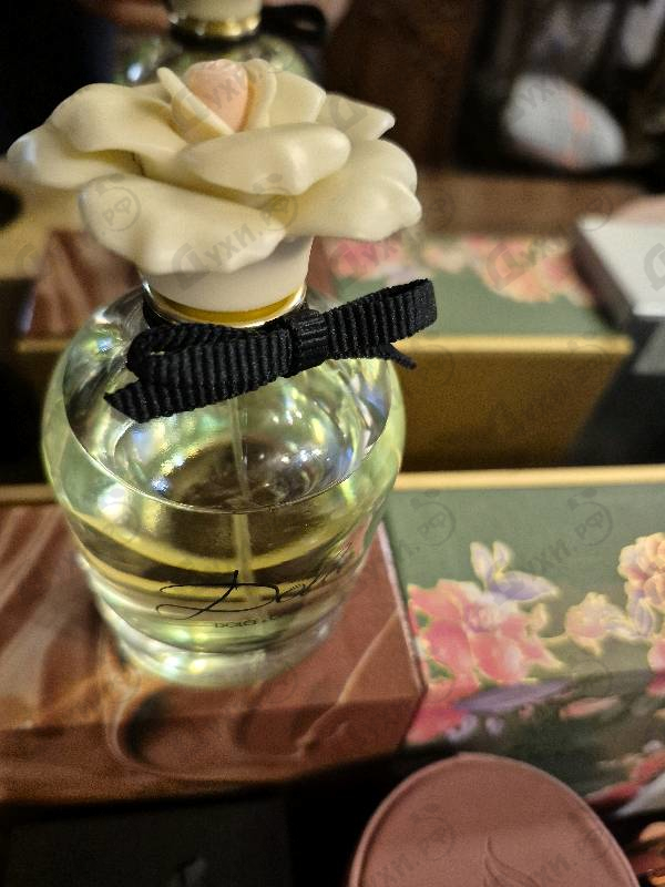 Парфюмерия Dolce & Gabbana Dolce (2014)