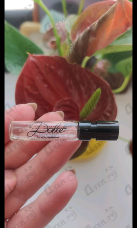 Парфюмерия Dolce (2014) от Dolce & Gabbana