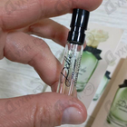 Отзыв Dolce & Gabbana Dolce (2014)