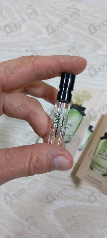 Парфюмерия Dolce (2014) от Dolce & Gabbana