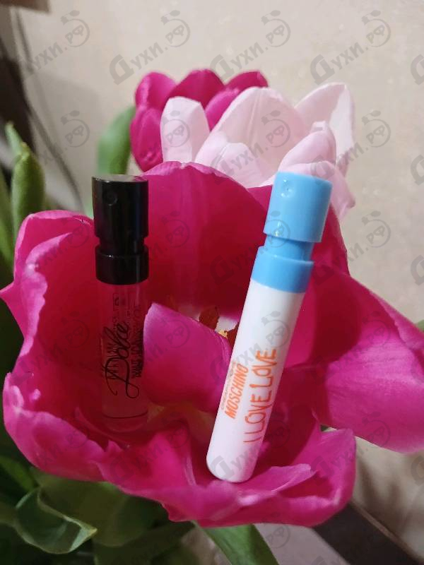 Отзыв Dolce & Gabbana Dolce (2014)