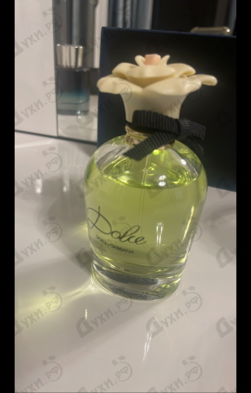 Купить Dolce (2014) от Dolce & Gabbana
