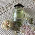 Отзыв Dolce & Gabbana Dolce (2014)