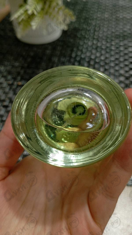 Купить Dolce & Gabbana Dolce (2014)