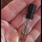 Отзывы Dolce & Gabbana Dolce (2014)