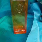 Отзывы Hermes Eau De Mandarine Ambree