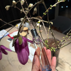 Духи Epice Marine от Hermes