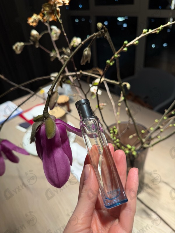 Купить Epice Marine от Hermes