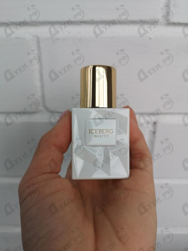 Купить Iceberg White Парфюмерия White от Iceberg