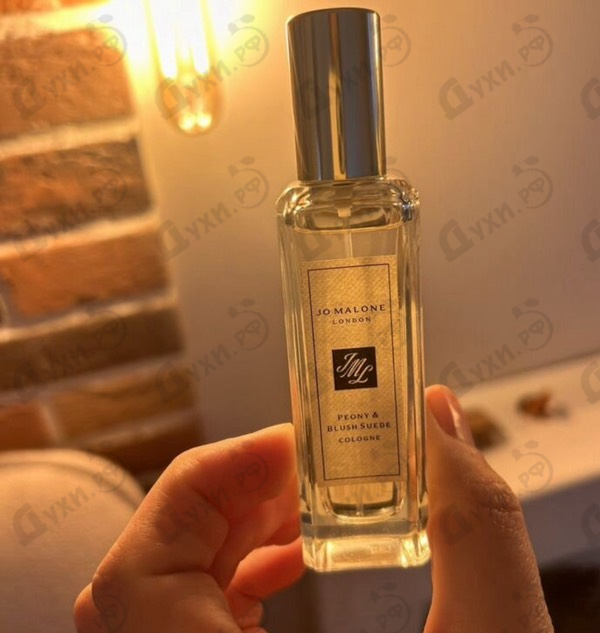 Парфюмерия Peony And Blush Suede от Jo Malone