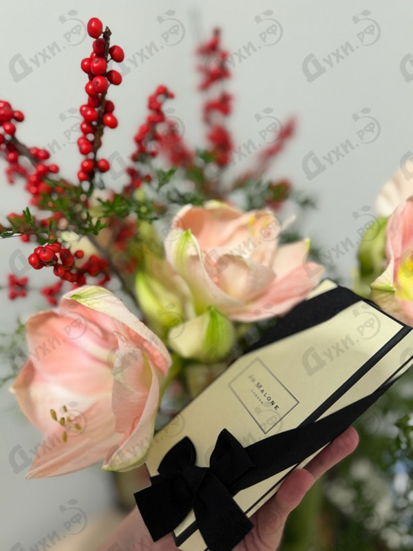 Духи Peony And Blush Suede от Jo Malone