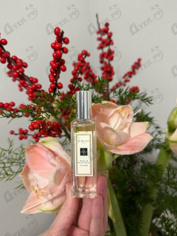 Отзывы Jo Malone Peony And Blush Suede