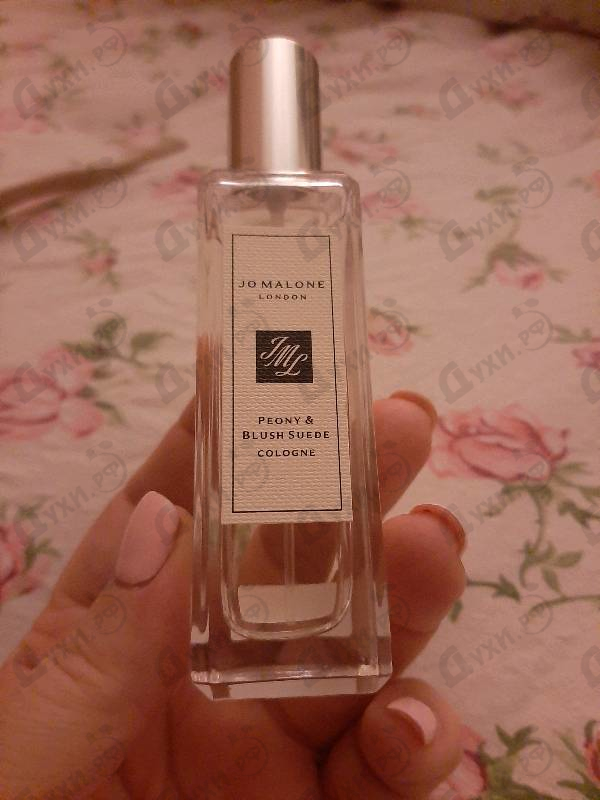 Парфюмерия Peony And Blush Suede от Jo Malone