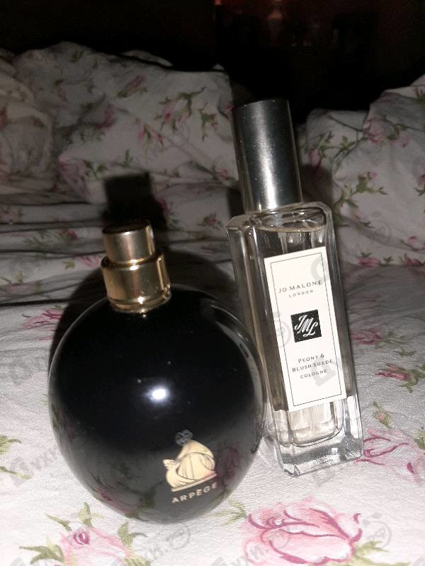 Купить Peony And Blush Suede от Jo Malone