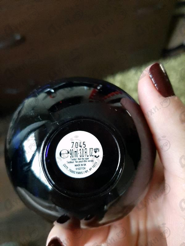 Отзыв Lacoste Sensuelle Купить Sensuelle от Lacoste