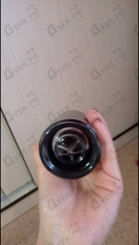 Парфюмерия Mercedes Benz Intense от Mercedes Benz