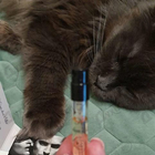 Отзывы Kilian Kisses Don't Lie