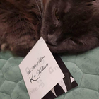 Отзывы Kilian Kisses Don't Lie