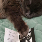 Парфюм Kilian Kisses Don't Lie