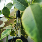 Отзывы Kilian Criminal Of Love