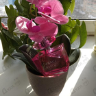 Парфюм Versace Bright Crystal Absolu