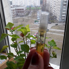 Отзыв Amouage Fate