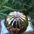 Отзыв Amouage Fate Купить Fate от Amouage