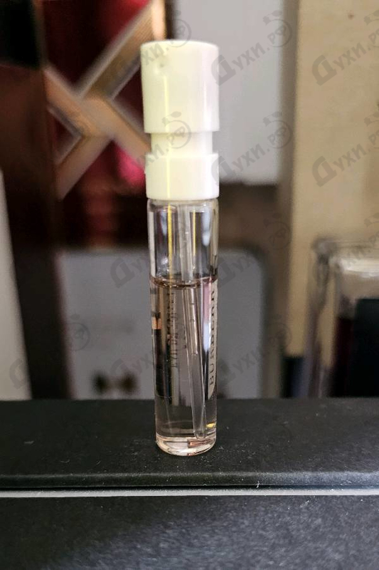 Купить Burberry Brit Rhythm