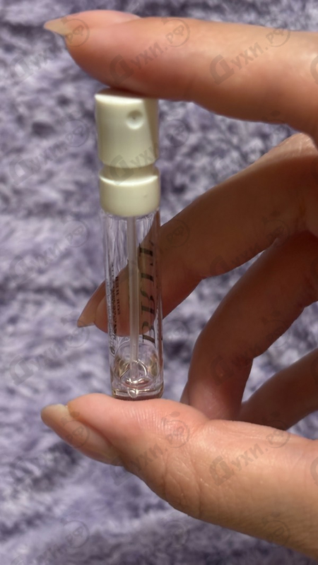 Купить Brit Rhythm от Burberry