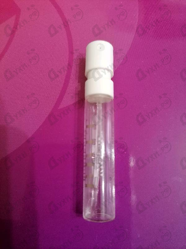 Купить Brit Rhythm от Burberry